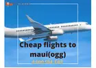 Affordable Adventures: Your Guide to Cheap Flights to Maui 