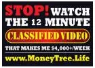 If You Can Place An Ad Like This, You Can Generate Some Serious CASH From Home