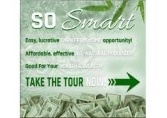 Attention!! Are you ready to earn a full time income working only part time from home!