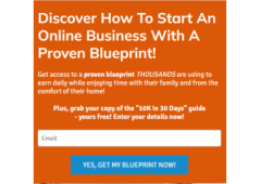 Home Business Perpetual Website Traffic For Lead Generation