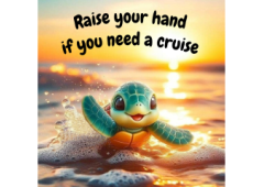 Do you Need a Cruise?