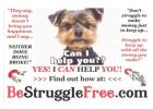 Yes You Can!