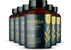 Sr. Business Capital Agent