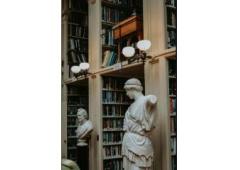 Travel Agent Business Opportunity